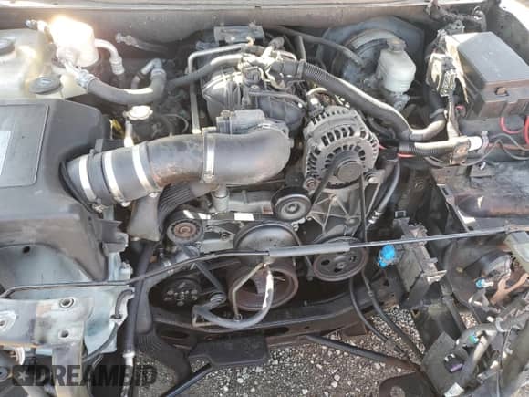 2006 Chevrolet TrailBlazer LT with VIN 1GNES13H062260829, listed as a Copart auction lot 77086554 with Not provided miles and Clean title. Bid and sale history available at DreamBid. Image 12.