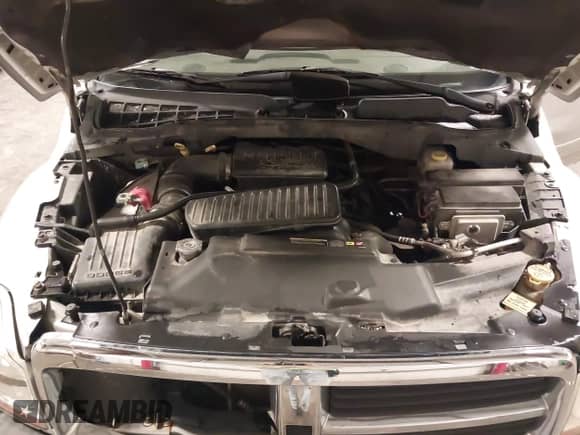 2004 Dodge Durango SLT with VIN 1D4HB48N74F224151, listed as a IAAI auction lot 43206393 with 266,604 mi miles and . Bid and sale history available at DreamBid. Image 10.