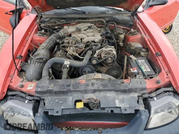 2000 Ford Mustang z VIN 1FAFP404XYF203704, wystawiony jako Copart lot #82164785 z przebiegiem 250 248 mil mil oraz Szkoda całkowita • Salvage title. Historia ofert i sprzedaży dostępna na DreamBid. Obrazek 11.