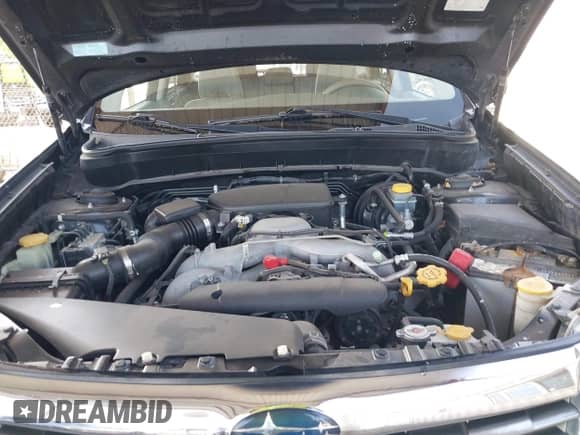 2009 Subaru Forester X with VIN JF2SH636X9H717090, listed as a IAAI auction lot 43188925 with 267,306 mi miles and . Bid and sale history available at DreamBid. Image 10.