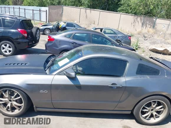 2014 Ford Mustang GT z VIN 1ZVBP8CF7E5310141, wystawiony jako IAAI lot #42610122 z przebiegiem 126 444 mil mil oraz . Historia ofert i sprzedaży dostępna na DreamBid. Obrazek 13.