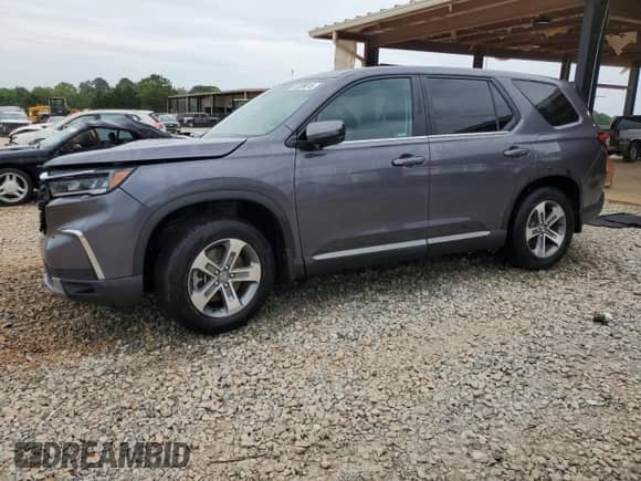 2024 Honda Pilot EX-L with VIN 5FNYG2H57RB016317, listed as a Copart auction lot 57036015 with 14,616 mi miles and Salvage title. Bid and sale history available at DreamBid. Image 1.