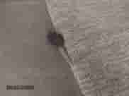 2002 Chevrolet TrailBlazer LS with VIN 1GNDT13S722321754, listed as a IAAI auction lot 42576905 with 249,266 mi miles and . Bid and sale history available at DreamBid. Image 11.