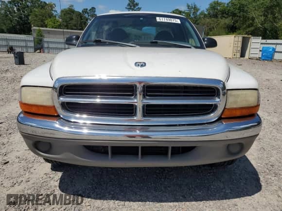 1999 Dodge Dakota SLT z VIN 1B7GL22X2XS114639, wystawiony jako Copart lot #61749075 z przebiegiem 135 191 mil mil oraz Szkoda całkowita • Salvage title. Historia ofert i sprzedaży dostępna na DreamBid. Obrazek 5.