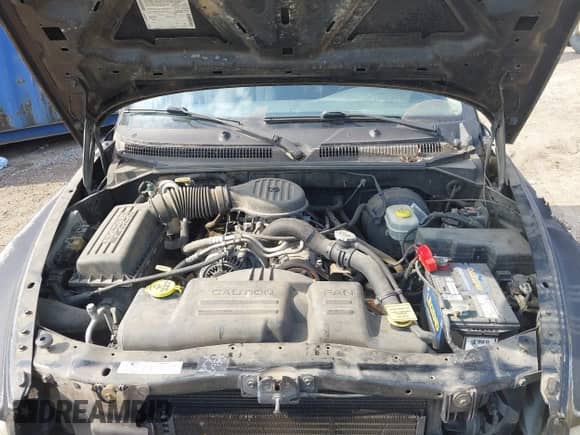 2001 Dodge Dakota with VIN 1B7FL26X71S151750, listed as a IAAI auction lot 43149690 with 90,835 mi miles and . Bid and sale history available at DreamBid. Image 10.