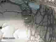 2004 Chevrolet Suburban LT с VIN 3GNEC16Z04G319450, выставлен на аукционе IAAI как лот 43003299 с пробегом 251 257 миль миль и . История ставок и продаж доступна на DreamBid. Изображение 11.