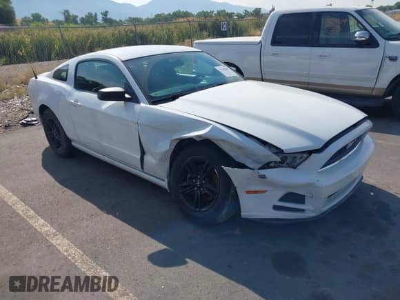 2014 Ford Mustang Premium with VIN 1ZVBP8AM7E5259273, listed as a IAAI auction lot 43142606 with 51,527 mi miles and . Bid and sale history available at DreamBid. Image 1.