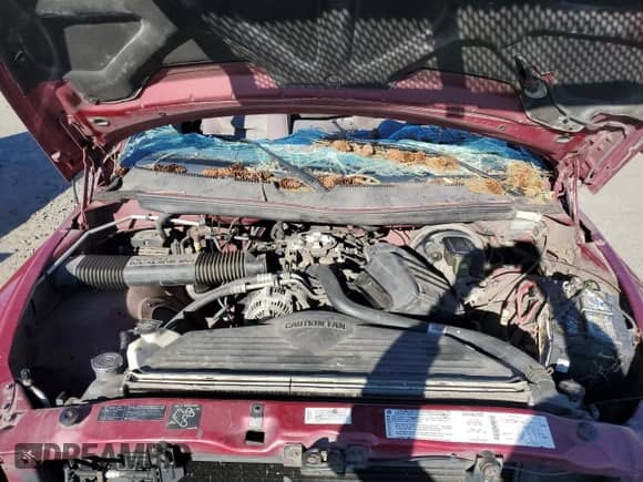 1995 Dodge 1500 with VIN 1B7HC16Y7SS155715, listed as a Copart auction lot 50577485 with 193,694 mi miles and Salvage title. Bid and sale history available at DreamBid. Image 11.