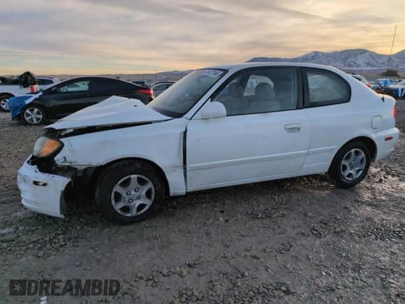 2004 Hyundai Accent GL z VIN KMHCG35C94U310459, wystawiony jako Copart lot #79477194 z przebiegiem 86 942 mil mil oraz Szkoda całkowita • Salvage title. Historia ofert i sprzedaży dostępna na DreamBid. Obrazek 1.