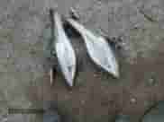 2014 Hyundai Sonata Limited with VIN KMHEC4A44EA108446, listed as a Copart auction lot 59532995 with Not provided miles and Salvage title. Bid and sale history available at DreamBid. Image 12.