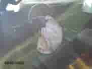 2023 Chevrolet Silverado 1500 ZR2 с VIN 3GCUDHEL3PG360876, выставлен на аукционе Copart как лот 50813835 с пробегом 54 367 миль миль и Списание • Salvage title. История ставок и продаж доступна на DreamBid. Изображение 8.