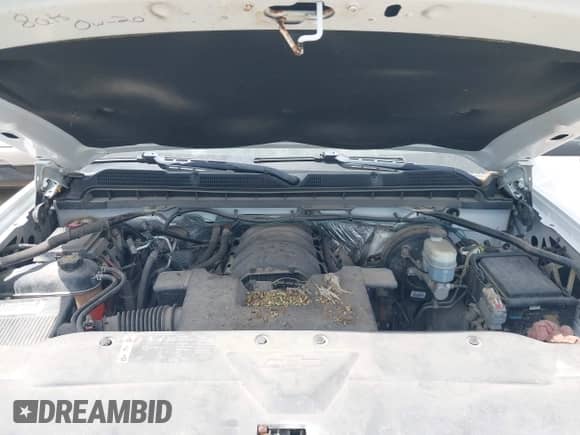 2018 Chevrolet Silverado 1500 Work Truck with VIN 1GCNKNEC2JZ314908, listed as a IAAI auction lot 42546698 with 58,722 mi miles and . Bid and sale history available at DreamBid. Image 10.