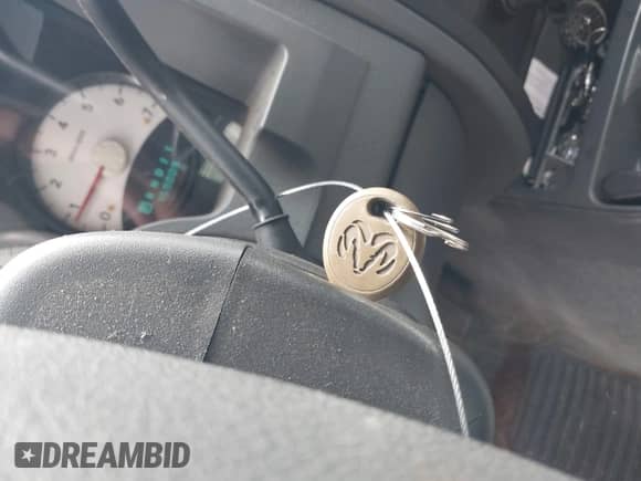 2005 Dodge Dakota ST with VIN 1D7HW22K85S271692, listed as a IAAI auction lot 42666693 with Not provided miles and . Bid and sale history available at DreamBid. Image 11.