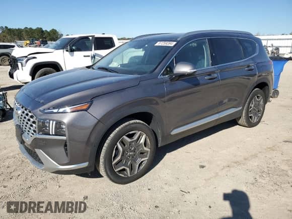 2022 Hyundai Santa Fe Limited with VIN KM8S7DA22NU047330, listed as a Copart auction lot 87259394 with 31,131 mi miles and Salvage title. Bid and sale history available at DreamBid. Image 1.