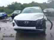 2024 Hyundai Tucson Blue with VIN KM8JBCD15RU194397, listed as a IAAI auction lot 43104054 with 19,814 mi miles and . Bid and sale history available at DreamBid. Image 12.