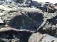 2013 Dodge Charger SRT-8 Super Bee with VIN 2C3CDXGJ3DH512303, listed as a Copart auction lot 54705185 with Not provided miles and Clean title. Bid and sale history available at DreamBid. Image 9.