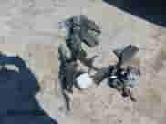 2019 Toyota Prius Plus с VIN JTDKARFP3K3113148, выставлен на аукционе IAAI как лот 42683697 с пробегом 83 510 миль миль и . История ставок и продаж доступна на DreamBid. Изображение 12.