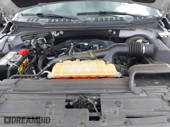 2019 Ford F-150 XL with VIN 1FTEW1CP5KFA39637, listed as a IAAI auction lot 43299566 with 113,079 mi miles and . Bid and sale history available at DreamBid. Image 10.