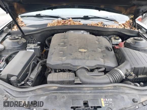 2011 Chevrolet Camaro 2LT with VIN 2G1FC1ED1B9148453, listed as a IAAI auction lot 43434027 with 188,084 mi miles and . Bid and sale history available at DreamBid. Image 10.