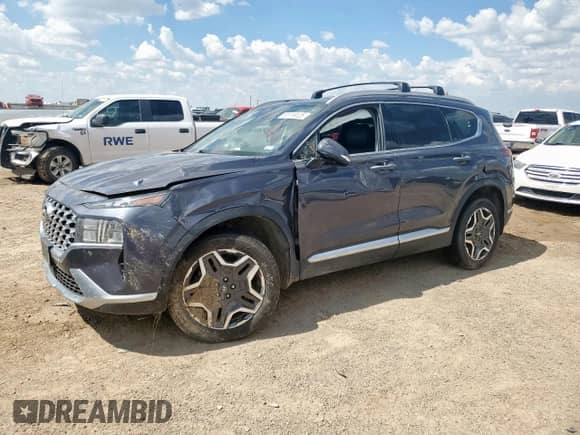 2022 Hyundai Santa Fe SEL Premium with VIN KM8S3DA11NU023412, listed as a Copart auction lot 81119125 with 86,793 mi miles and Salvage title. Bid and sale history available at DreamBid. Image 1.