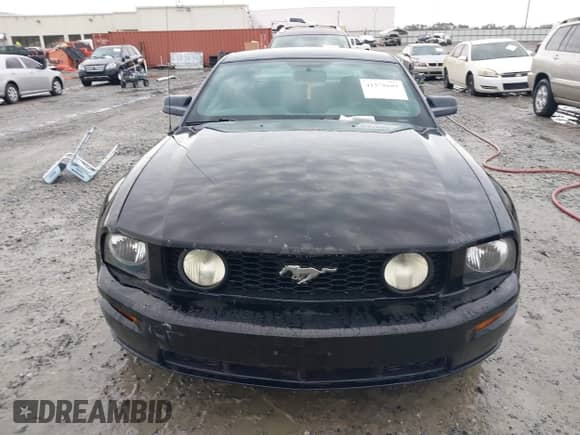 2009 Ford Mustang GT с VIN 1ZVHT82H195127431, выставлен на аукционе IAAI как лот 41575609 с пробегом 142 977 миль миль и . История ставок и продаж доступна на DreamBid. Изображение 12.