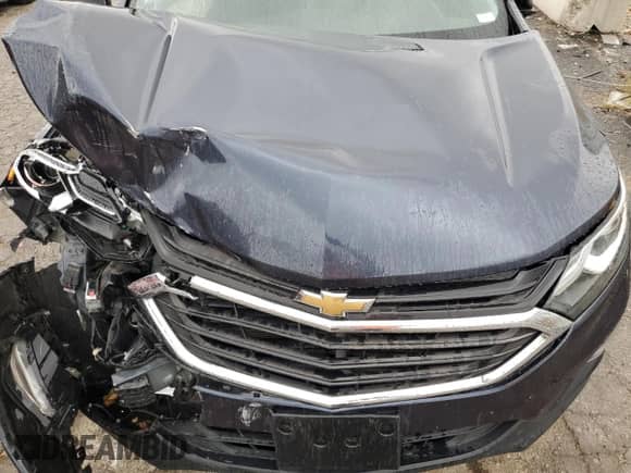 2018 Chevrolet Equinox LS with VIN 3GNAXHEV6JS540439, listed as a Copart auction lot 81704595 with Not provided miles and Salvage title. Bid and sale history available at DreamBid. Image 11.