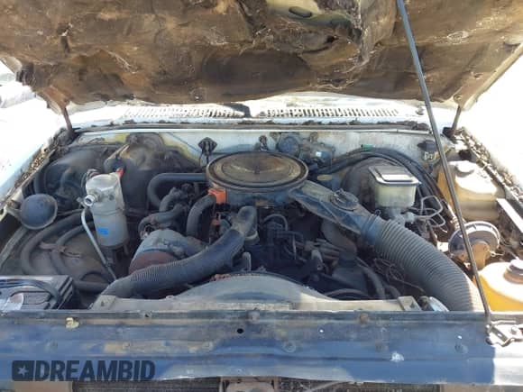 1982 Chevrolet S-10 с VIN 1GCCS14B7C8137743, выставлен на аукционе IAAI как лот 42725763 с пробегом 315 928 миль миль и . История ставок и продаж доступна на DreamBid. Изображение 10.
