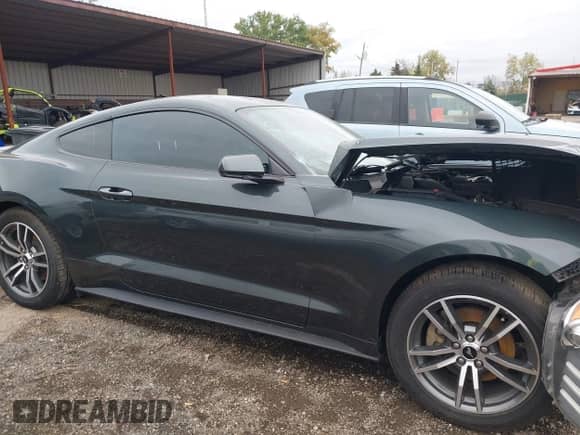 2016 Ford Mustang EcoBoost Premium with VIN 1FA6P8THXG5201767, listed as a IAAI auction lot 43456465 with 62,570 mi miles and . Bid and sale history available at DreamBid. Image 13.
