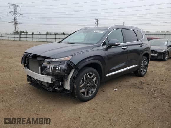 2021 Hyundai Santa Fe Limited with VIN 5NMS4DAL8MH343092, listed as a Copart auction lot 61070645 with 20,187 mi miles and Salvage title. Bid and sale history available at DreamBid. Image 1.