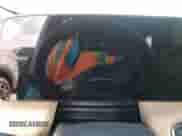 2025 Chevrolet Equinox FWD ACTIV с VIN 3GNAXKEG5SL119631, выставлен на аукционе Copart как лот 73884884 с пробегом Не указан миль и Списание • Salvage title. История ставок и продаж доступна на DreamBid. Изображение 9.