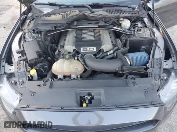 2016 Ford Mustang GT Premium с VIN 1FA6P8CF9G5202861, выставлен на аукционе Copart как лот 71279225 с пробегом 87 412 миль миль и Списание • Salvage title. История ставок и продаж доступна на DreamBid. Изображение 11.
