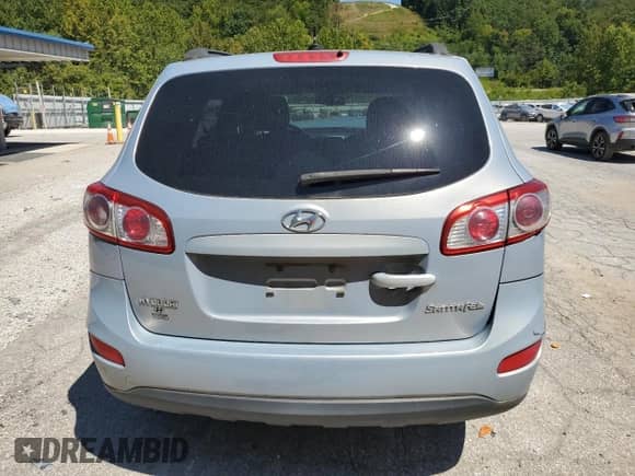 2010 Hyundai Santa Fe GLS with VIN 5NMSG3AB0AH405072, listed as a Copart auction lot 70176135 with Not provided miles and Salvage title. Bid and sale history available at DreamBid. Image 6.