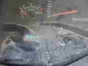 1999 Dodge Dakota SLT с VIN 1B7FL26X6XS267627, выставлен на аукционе IAAI как лот 43548128 с пробегом 168 647 миль миль и . История ставок и продаж доступна на DreamBid. Изображение 12.