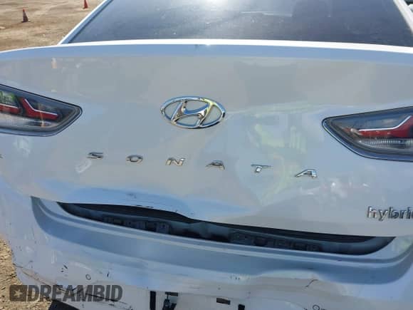 2019 Hyundai Sonata Limited с VIN KMHE34L3XKA089756, выставлен на аукционе IAAI как лот 43363886 с пробегом 69 030 миль миль и . История ставок и продаж доступна на DreamBid. Изображение 17.