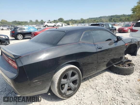 2014 Dodge Challenger R/T with VIN 2C3CDYBT1EH249826, listed as a Copart auction lot 80354575 with Not provided miles and Salvage title. Bid and sale history available at DreamBid. Image 3.