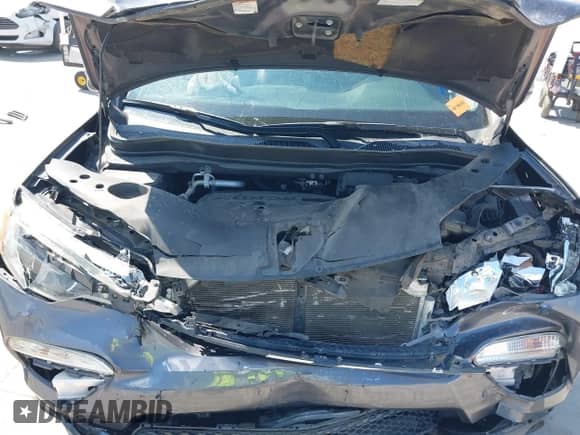 2017 Honda Pilot EX-L with VIN 5FNYF5H58HB027491, listed as a IAAI auction lot 43356758 with 124,805 mi miles and . Bid and sale history available at DreamBid. Image 10.