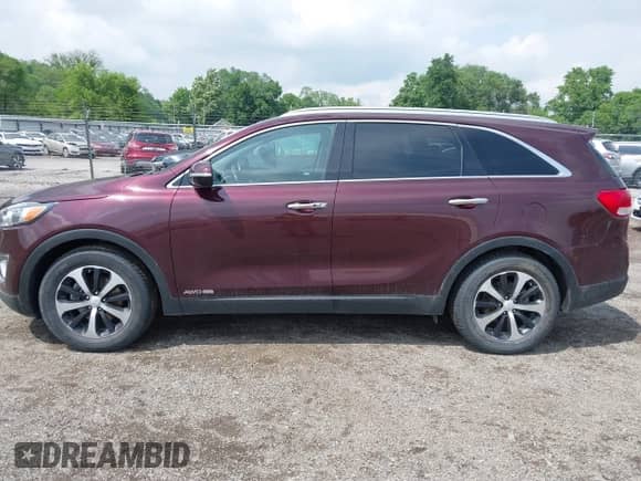 2017 Kia Sorento EX z VIN 5XYPHDA51HG289386, wystawiony jako IAAI lot #42419455 z przebiegiem 146 464 mil mil oraz . Historia ofert i sprzedaży dostępna na DreamBid. Obrazek 15.