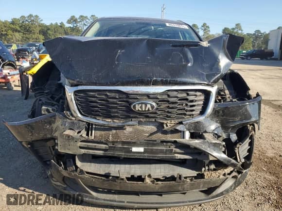 2019 Kia Sorento L z VIN 5XYPG4A36KG450601, wystawiony jako Copart lot #86319815 z przebiegiem 135 512 mil mil oraz Szkoda całkowita • Salvage title. Historia ofert i sprzedaży dostępna na DreamBid. Obrazek 5.