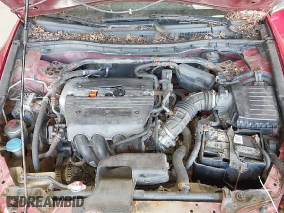 2009 Honda Accord LX-S with VIN 1HGCS12359A023397, listed as a IAAI auction lot 43132513 with 199,912 mi miles and . Bid and sale history available at DreamBid. Image 10.