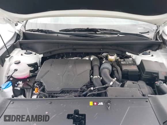 2025 Kia Sorento EX с VIN 5XYRH4JFXSG310180, выставлен на аукционе IAAI как лот 42637985 с пробегом 2 587 миль миль и . История ставок и продаж доступна на DreamBid. Изображение 10.