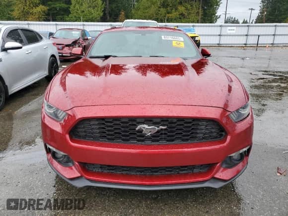 2017 Ford Mustang EcoBoost Premium с VIN 1FA6P8TH3H5231209, выставлен на аукционе Copart как лот 89716665 с пробегом 110 664 миль миль и Чистый • Clean title. История ставок и продаж доступна на DreamBid. Изображение 5.