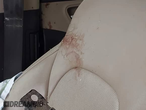 2017 Hyundai Santa Fe 2.4L with VIN 5NMZUDLB7HH008981, listed as a IAAI auction lot 43303448 with 72,647 mi miles and . Bid and sale history available at DreamBid. Image 12.