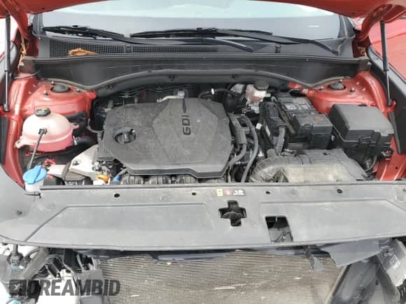 2021 Hyundai Santa Fe SEL with VIN 5NMS24AJ8MH325535, listed as a Copart auction lot 70891355 with 38,380 mi miles and Salvage title. Bid and sale history available at DreamBid. Image 11.