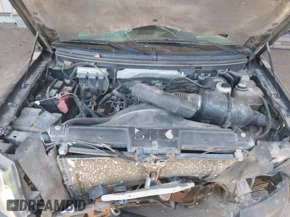 2008 Ford F-150 XL с VIN 1FTRW12W28KB69899, выставлен на аукционе IAAI как лот 42254937 с пробегом 193 402 миль миль и . История ставок и продаж доступна на DreamBid. Изображение 10.