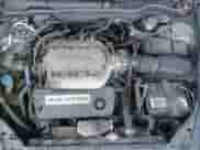 2007 Honda Accord EX-L with VIN 1HGCM82757A002679, listed as a IAAI auction lot 42609973 with 167,468 mi miles and . Bid and sale history available at DreamBid. Image 10.