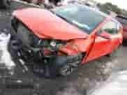 2019 Hyundai Veloster 2.0 с VIN KMHTG6AF6KU005046, выставлен на аукционе IAAI как лот 41073491 с пробегом 31 490 миль миль и . История ставок и продаж доступна на DreamBid. Изображение 2.