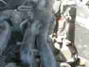 2012 Subaru Impreza 2.0i z VIN JF1GJAA62CG015606, wystawiony jako IAAI lot #41351089 z przebiegiem 138 574 mil mil oraz . Historia ofert i sprzedaży dostępna na DreamBid. Obrazek 18.