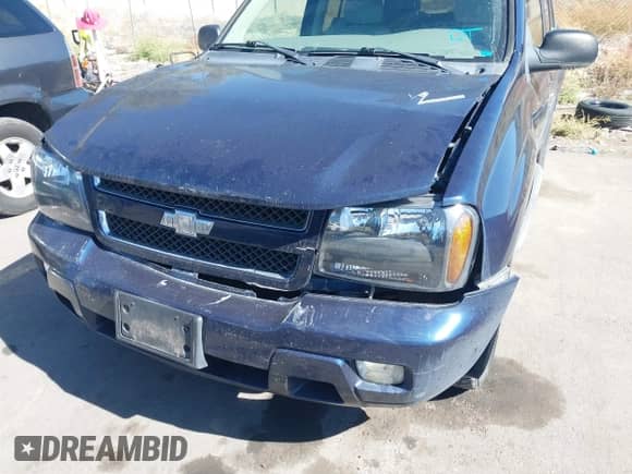 2008 Chevrolet TrailBlazer 1LT с VIN 1GNDT13S282262413, выставлен на аукционе IAAI как лот 43330389 с пробегом 172 627 миль миль и . История ставок и продаж доступна на DreamBid. Изображение 6.