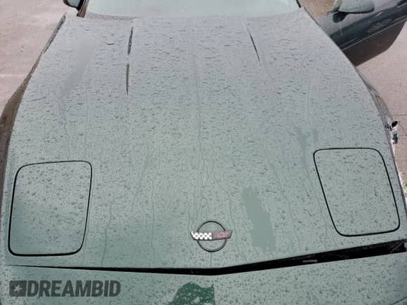 1994 Chevrolet Corvette with VIN 1G1YY22PXR5118969, listed as a Copart auction lot 73309144 with 56,951 mi miles and Salvage title. Bid and sale history available at DreamBid. Image 11.