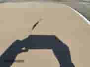 2005 Ford Mustang Deluxe with VIN 1ZVFT84N555215886, listed as a IAAI auction lot 43455324 with 205,376 mi miles and . Bid and sale history available at DreamBid. Image 6.